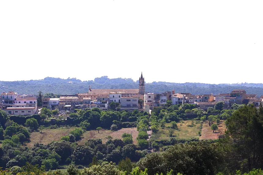 Vista del paisatge de Llubí
