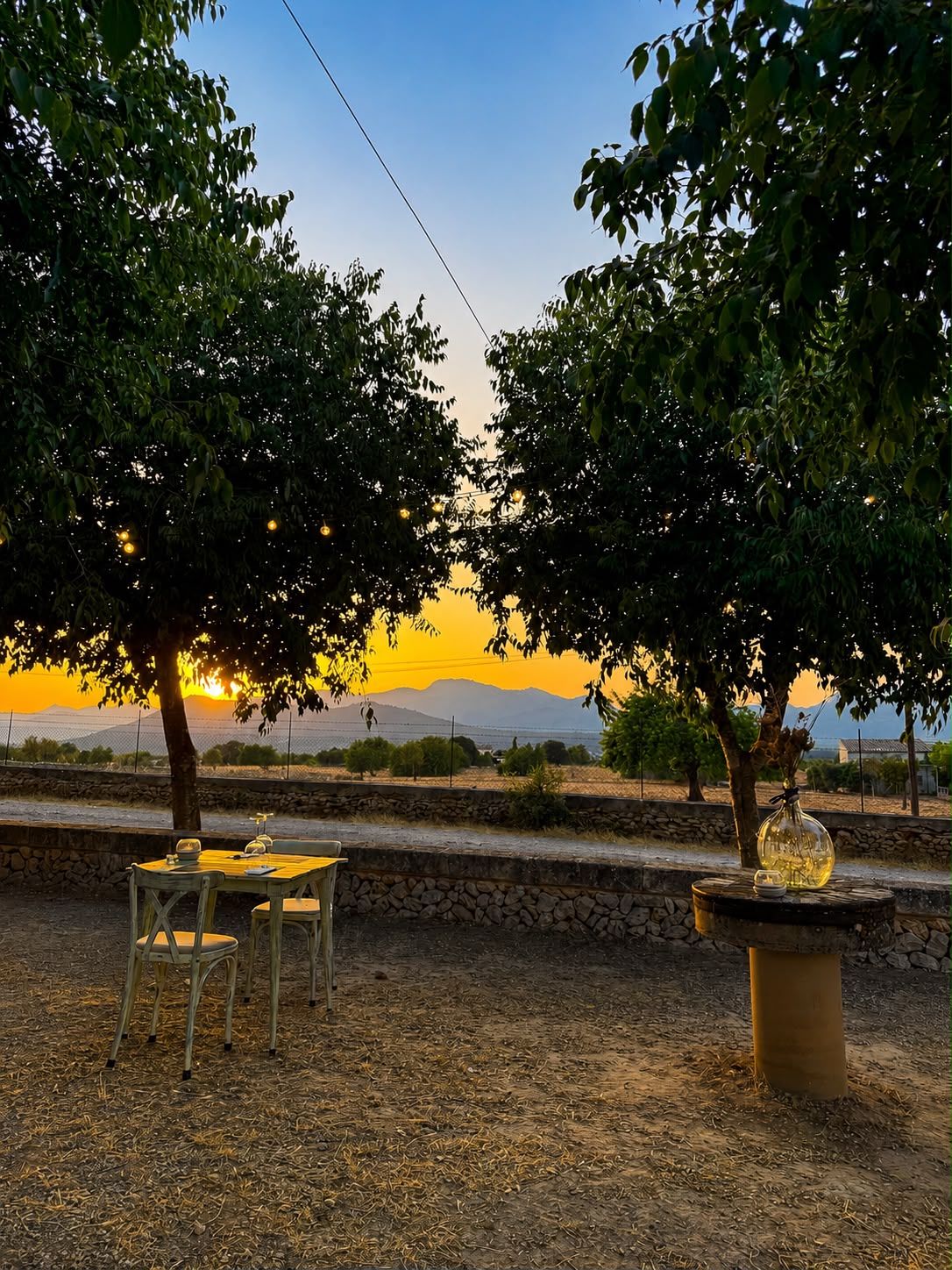 El pati de S'Ermita de Llubí al capvespre, amb taules sota els arbres